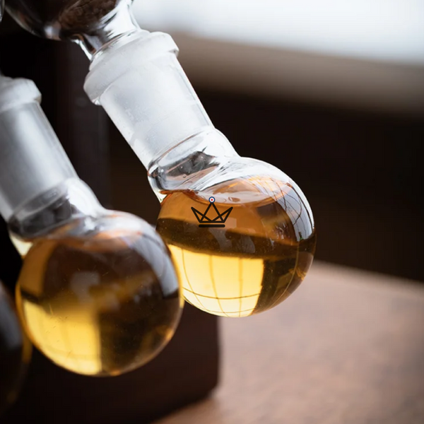 Premium-Zigarren-Ei – Infusio Scala | 5 Zigarren