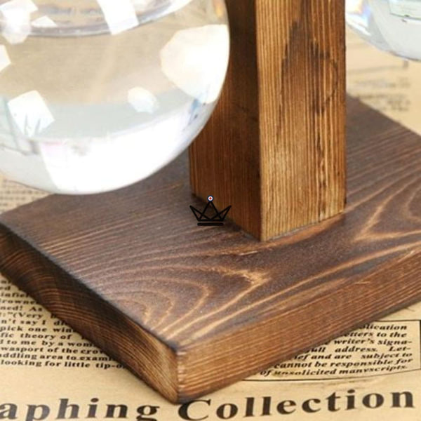 Terrarium en ampoule - EKY - Atelier Atypique