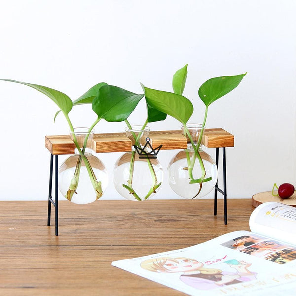 Terrarium en ampoule - ETABLY - Atelier Atypique