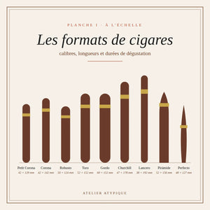 Les formats de cigares tout savoir : vitola, calibre, bague et leur impact sur la dégustation