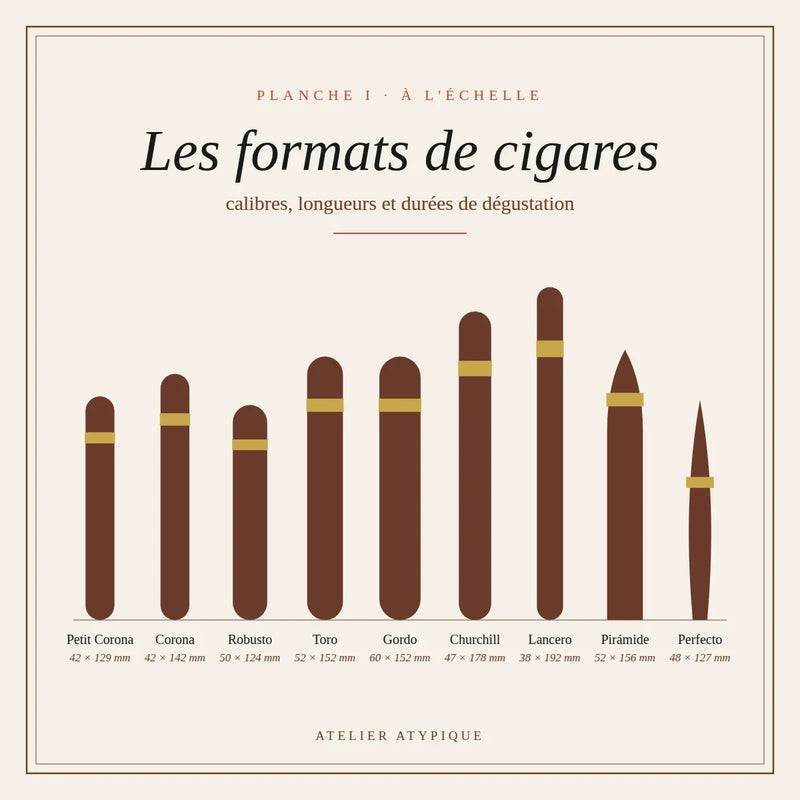 Les formats de cigares tout savoir : vitola, calibre, bague et leur impact sur la dégustation