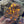 Yooperlite brute fluorescente, pierre qui s'illumine sous UV - LUCIOLE - [