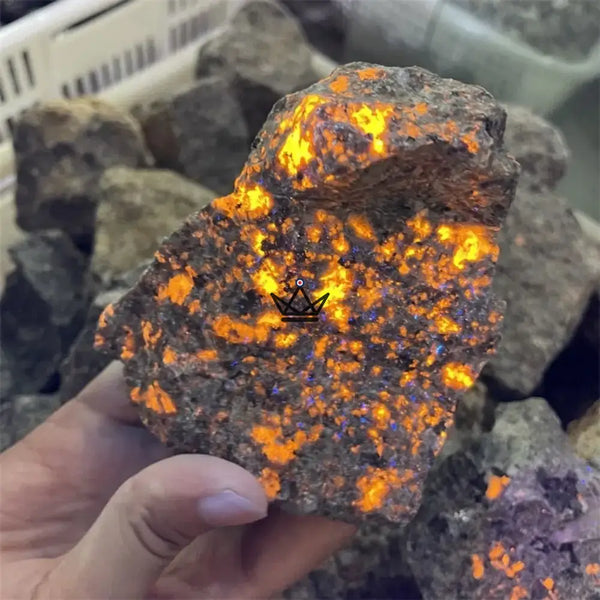 Yooperlite brute fluorescente, pierre qui s'illumine sous UV - LUCIOLE - ["maj-desc","maj-filtre","Objets Scientifiques"] - Objets Scientifiques - Cadeau, Noël, Anniversaire, Original, Fête des pères, fête des mères - Atelier Atypique