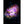 Nebel- und Galaxienposter auf Leinwand, 17 Motive - NEBULA